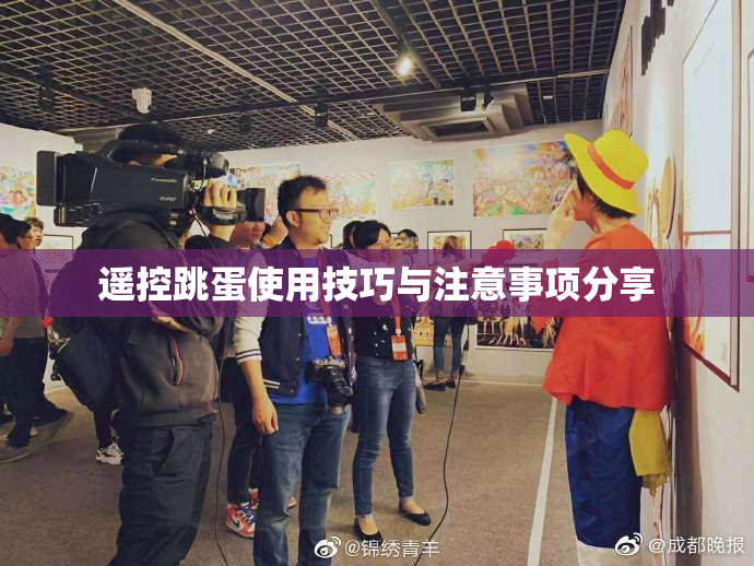 遥控跳蛋使用技巧与注意事项分享