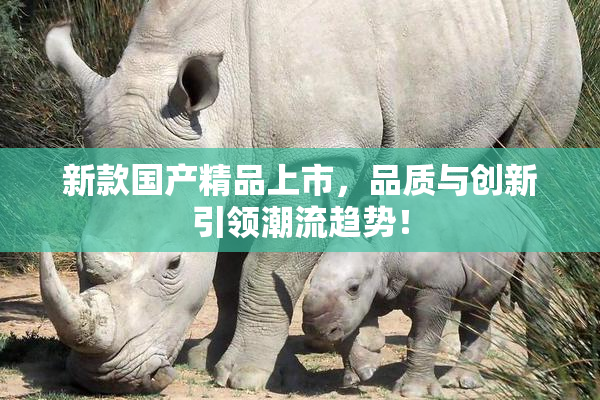 新款国产精品上市，品质与创新引领潮流趋势！