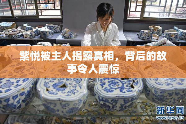 紫悦被主人揭露真相，背后的故事令人震惊