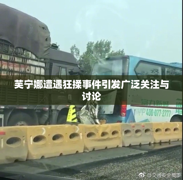 芙宁娜遭遇狂揉事件引发广泛关注与讨论