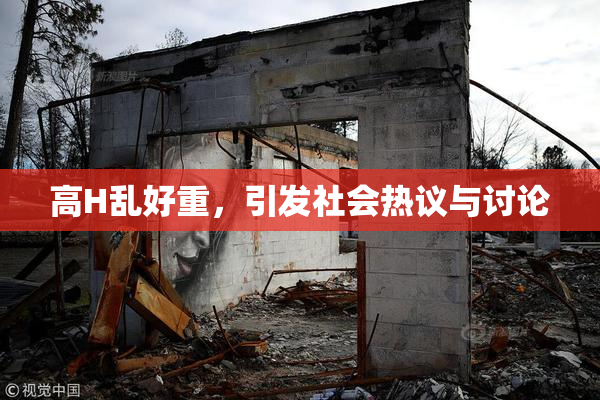 高H乱好重，引发社会热议与讨论