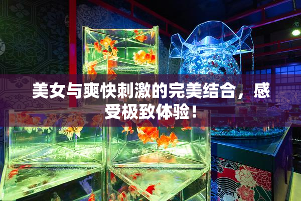 美女与爽快刺激的完美结合，感受极致体验！