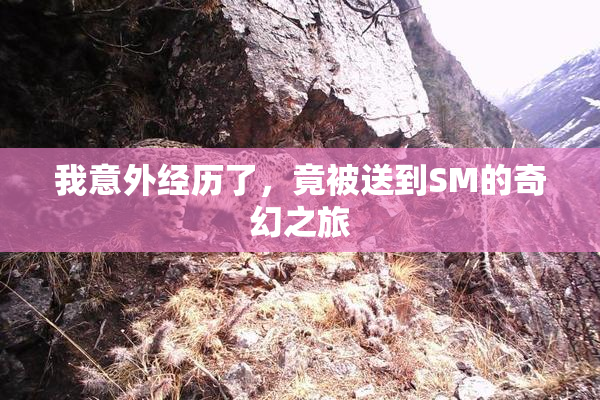 我意外经历了，竟被送到SM的奇幻之旅