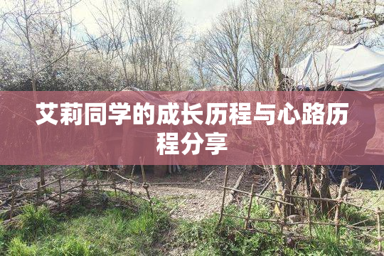 艾莉同学的成长历程与心路历程分享