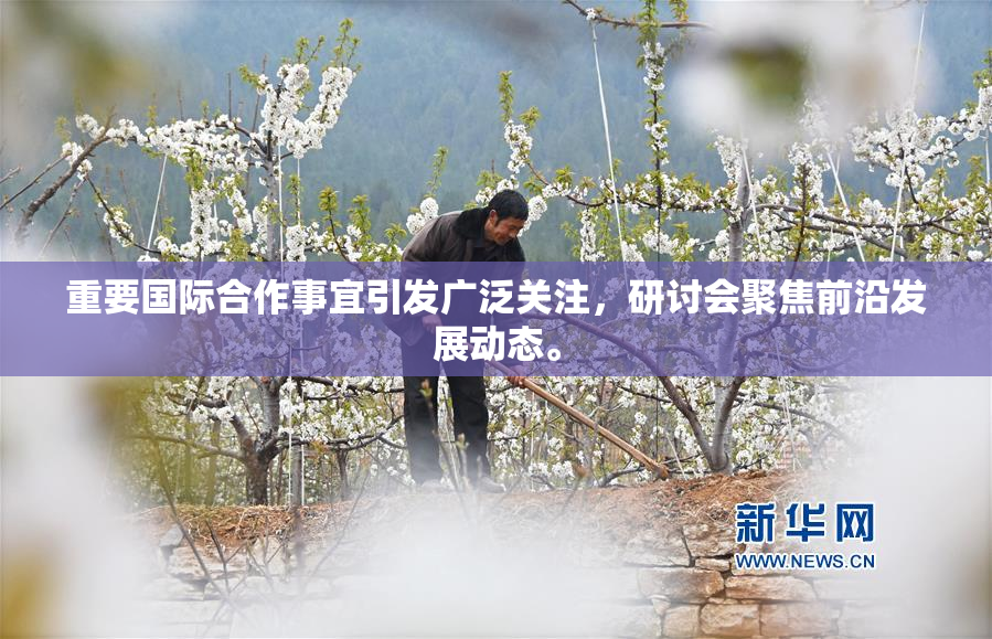 重要国际合作事宜引发广泛关注，研讨会聚焦前沿发展动态。