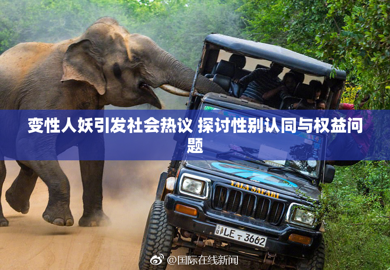 变性人妖引发社会热议 探讨性别认同与权益问题