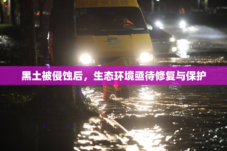 黑土被侵蚀后，生态环境亟待修复与保护