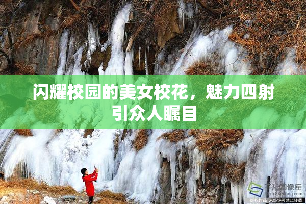 闪耀校园的美女校花，魅力四射引众人瞩目