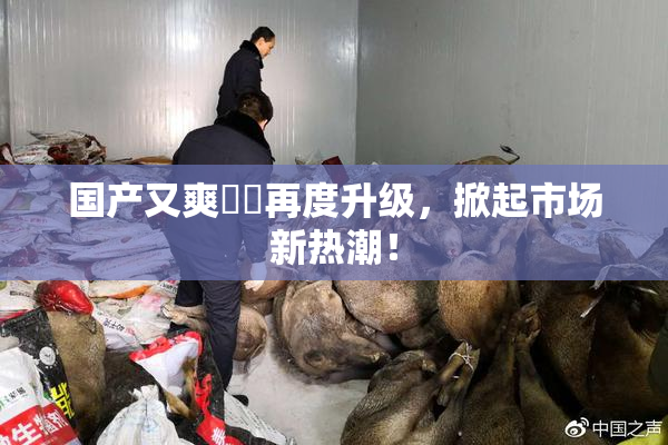国产又爽❌‌再度升级，掀起市场新热潮！