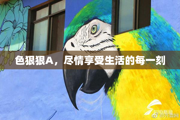 色狠狠A，尽情享受生活的每一刻