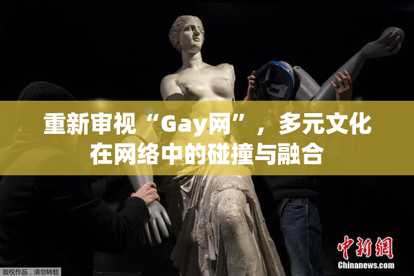 重新审视“Gay网”，多元文化在网络中的碰撞与融合