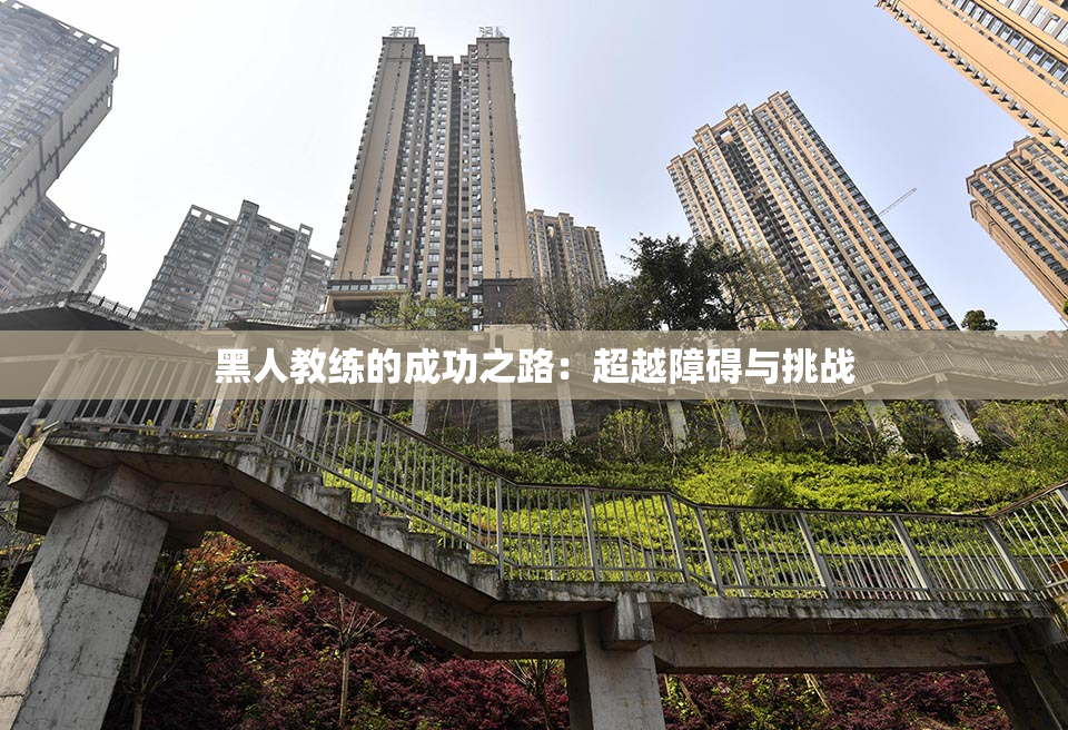 黑人教练的成功之路：超越障碍与挑战