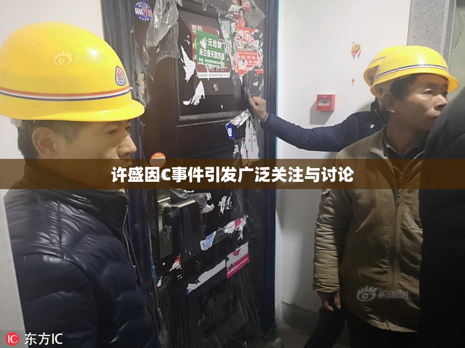 许盛因C事件引发广泛关注与讨论