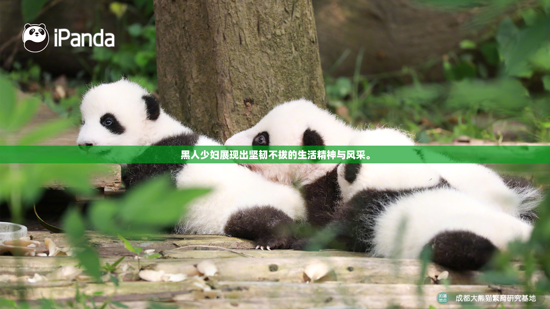 黑人少妇展现出坚韧不拔的生活精神与风采。