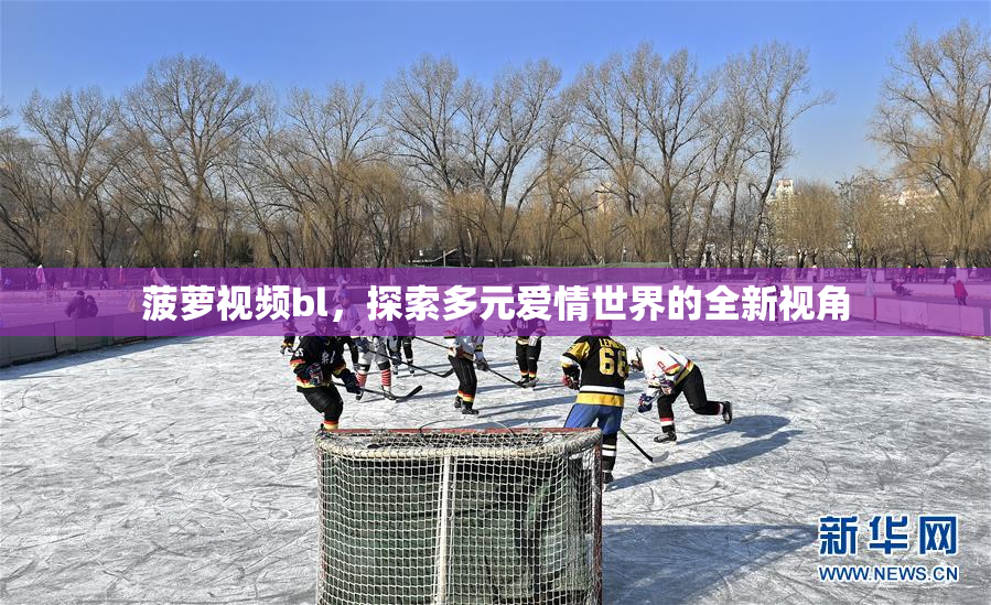 菠萝视频bl，探索多元爱情世界的全新视角