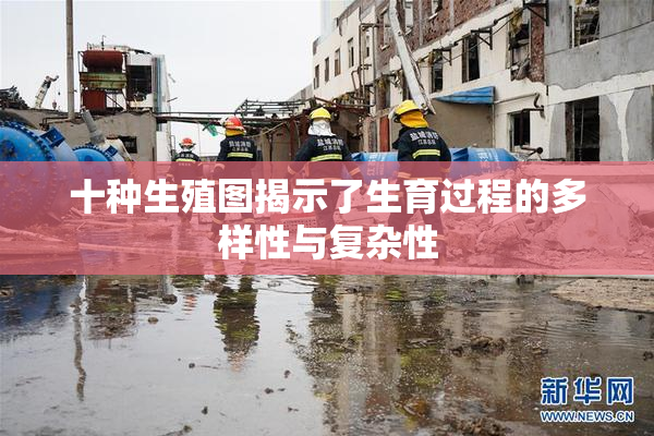 十种生殖图揭示了生育过程的多样性与复杂性