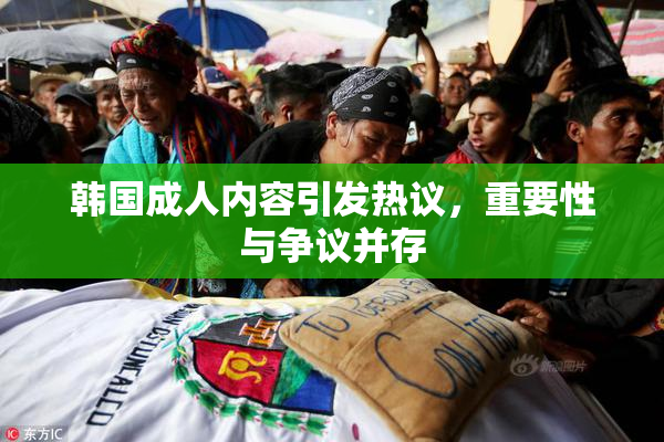 韩国成人内容引发热议，重要性与争议并存