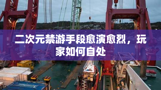 二次元禁游手段愈演愈烈，玩家如何自处