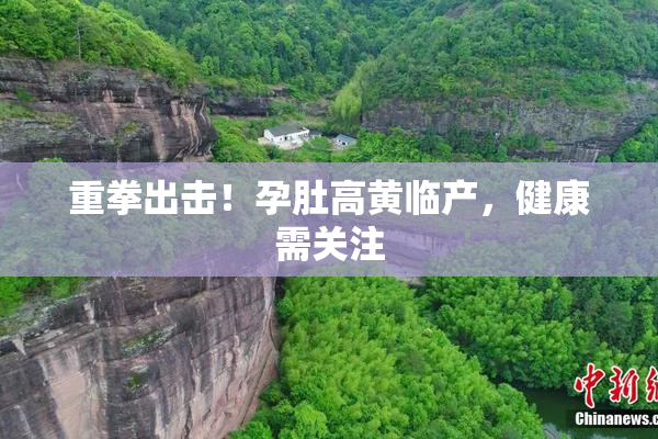 重拳出击！孕肚高黄临产，健康需关注