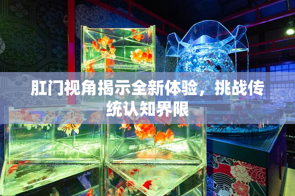 肛门视角揭示全新体验，挑战传统认知界限