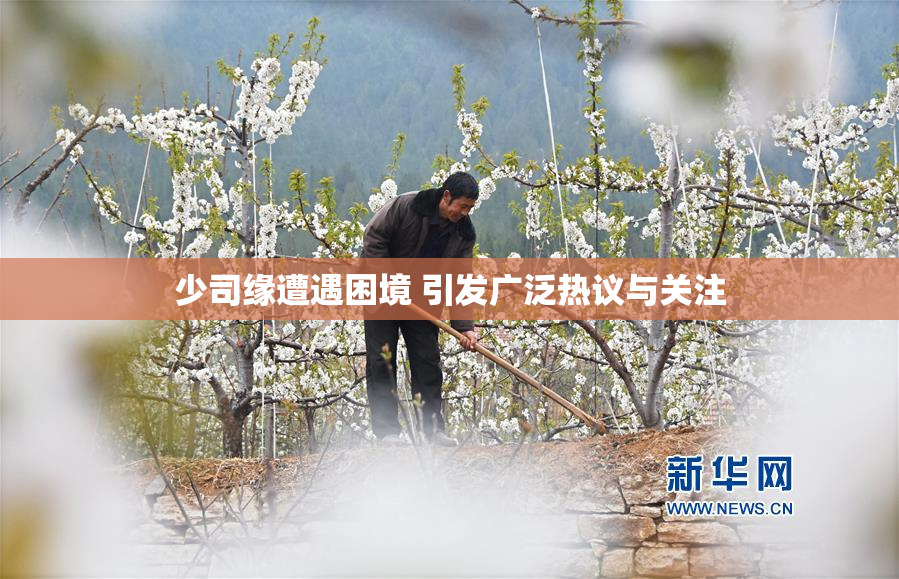 少司缘遭遇困境 引发广泛热议与关注