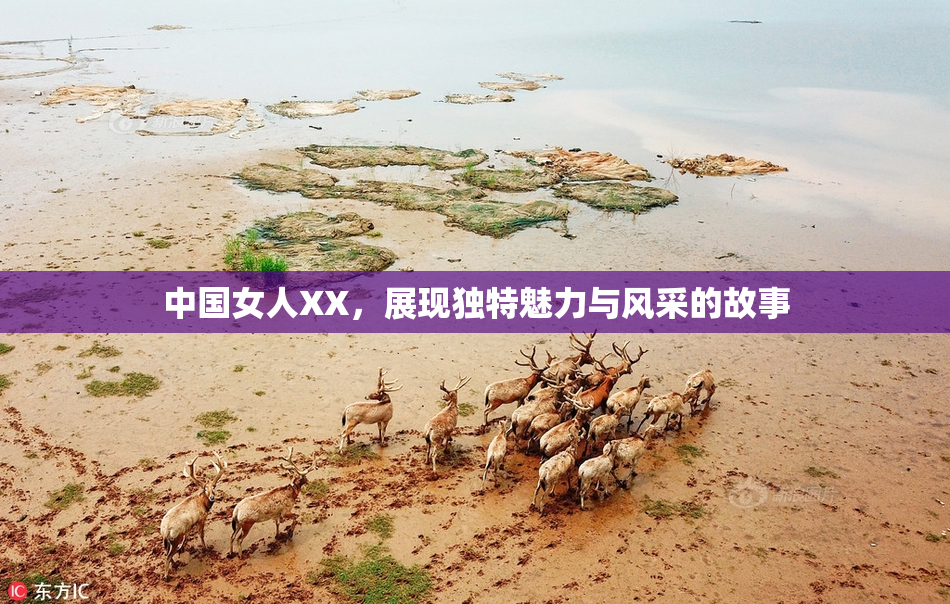 中国女人XX，展现独特魅力与风采的故事