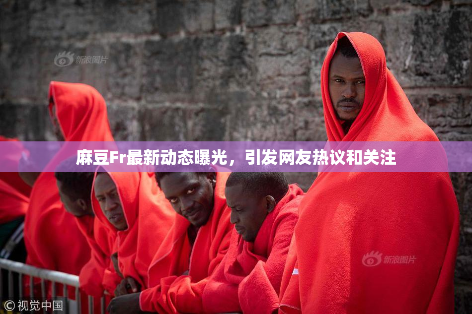 麻豆Fr最新动态曝光，引发网友热议和关注