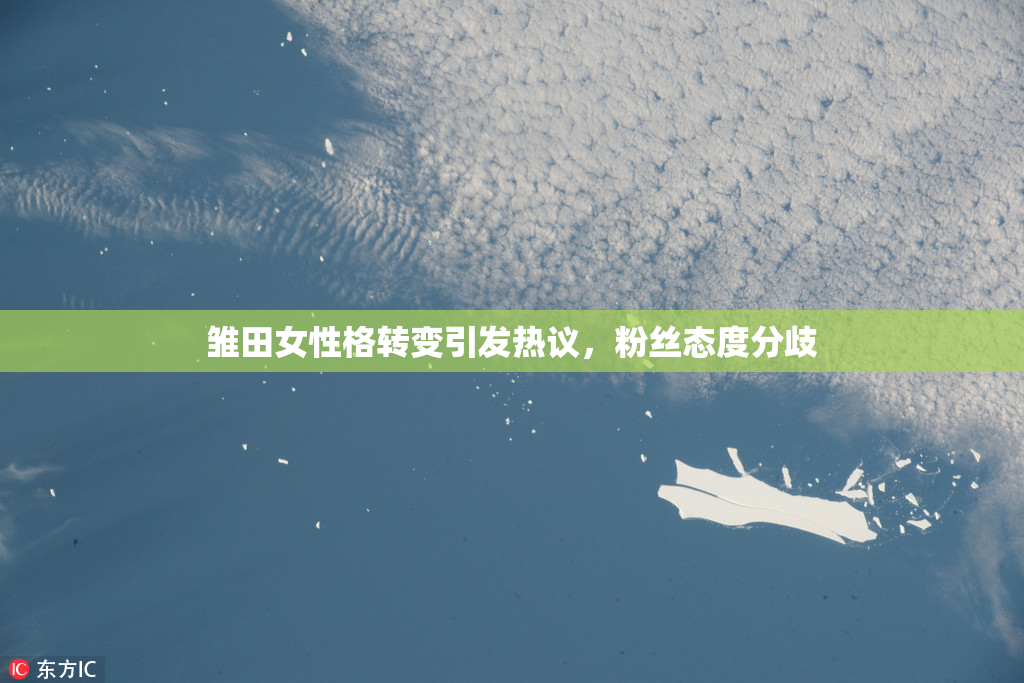 雏田女性格转变引发热议，粉丝态度分歧