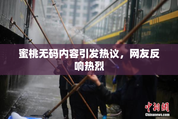 蜜桃无码内容引发热议，网友反响热烈