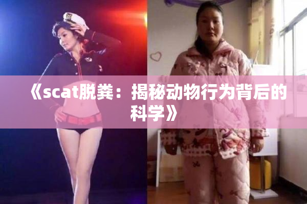 《scat脱粪：揭秘动物行为背后的科学》