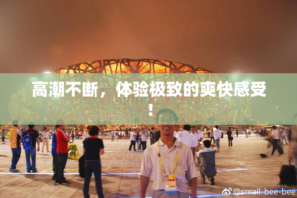 高潮不断，体验极致的爽快感受！