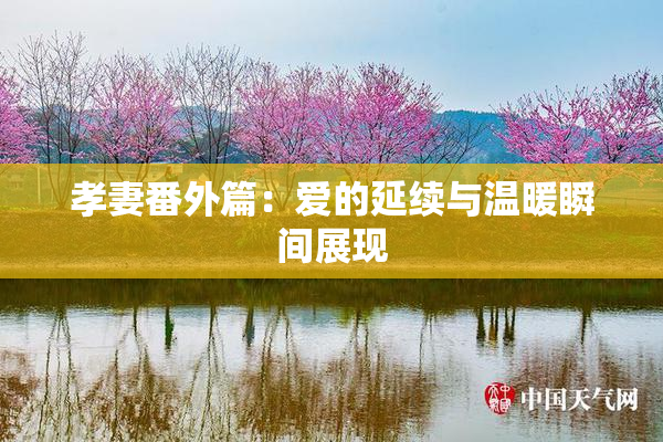孝妻番外篇：爱的延续与温暖瞬间展现