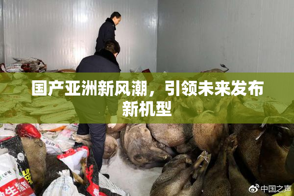 国产亚洲新风潮，引领未来发布新机型
