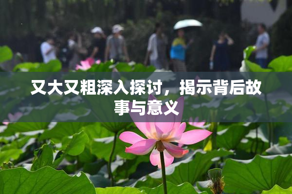又大又粗深入探讨，揭示背后故事与意义