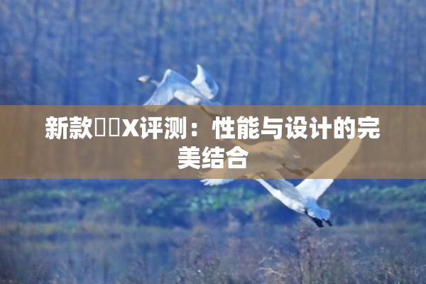 新款國產X评测：性能与设计的完美结合