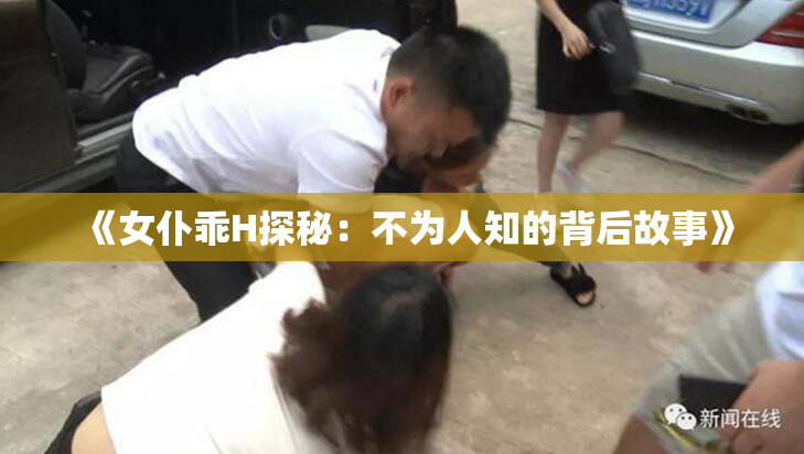 《女仆乖H探秘：不为人知的背后故事》