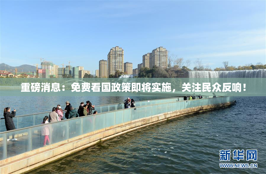 重磅消息：免费看国政策即将实施，关注民众反响！