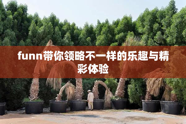 funn带你领略不一样的乐趣与精彩体验
