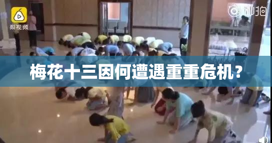 梅花十三因何遭遇重重危机？