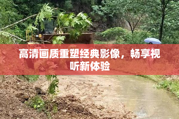 高清画质重塑经典影像，畅享视听新体验