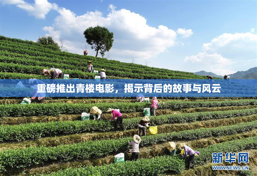 重磅推出青楼电影，揭示背后的故事与风云