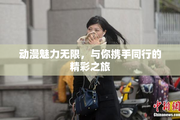 动漫魅力无限，与你携手同行的精彩之旅