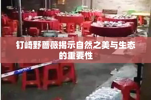 钉崎野蔷薇揭示自然之美与生态的重要性