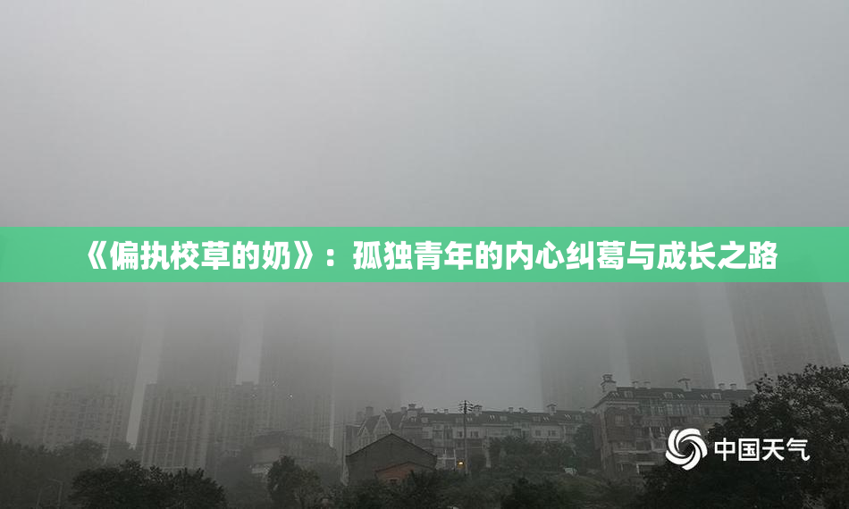 《偏执校草的奶》：孤独青年的内心纠葛与成长之路