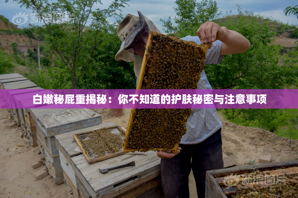 白嫩秘屁重揭秘：你不知道的护肤秘密与注意事项