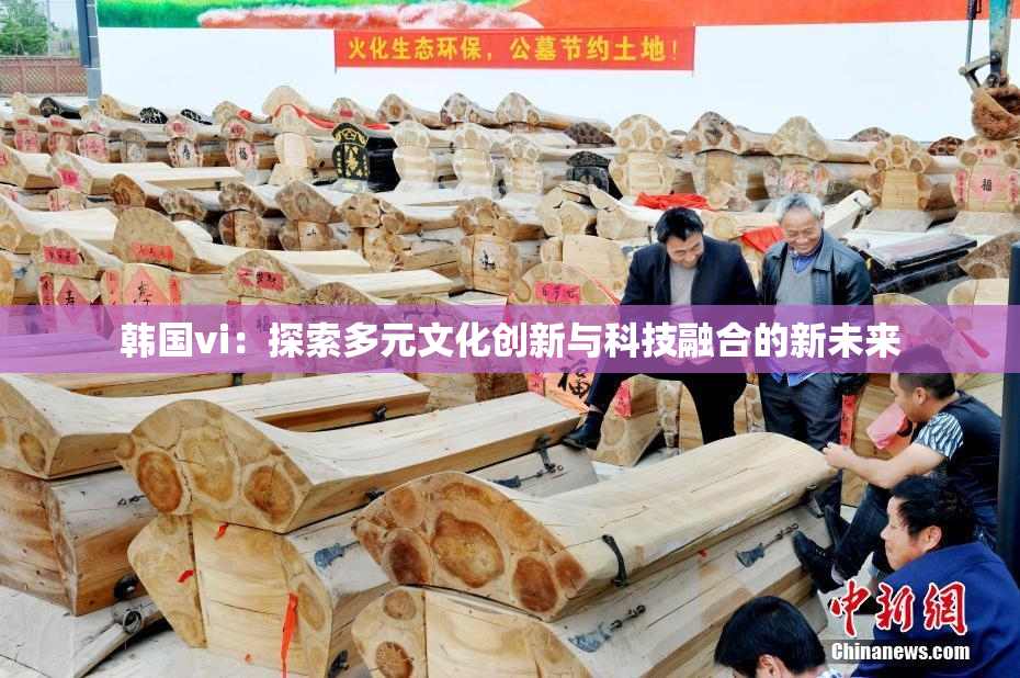韩国vi：探索多元文化创新与科技融合的新未来
