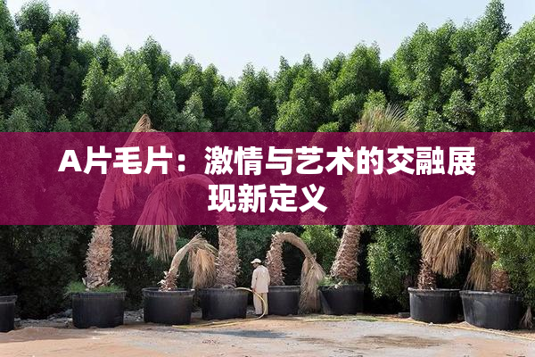 A片毛片：激情与艺术的交融展现新定义