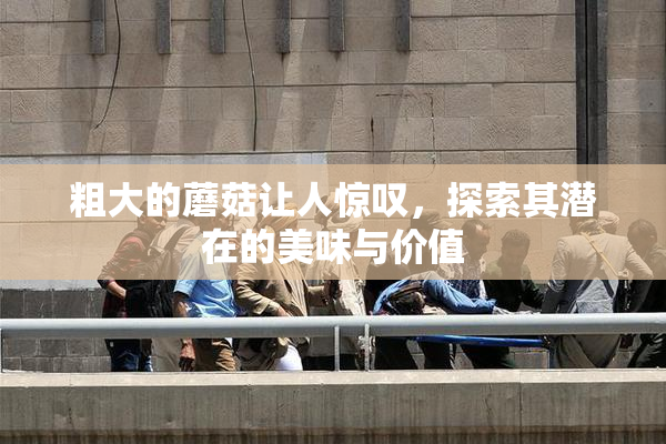 粗大的蘑菇让人惊叹，探索其潜在的美味与价值