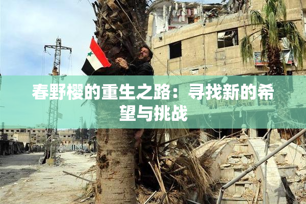春野樱的重生之路：寻找新的希望与挑战