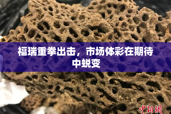 福瑞重拳出击，市场体彩在期待中蜕变